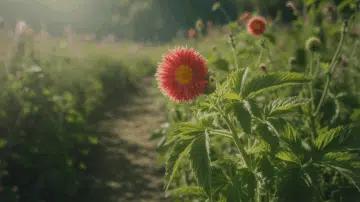 Alerte Choc : Cette Plante Commune Peut Mettre en Danger Vos Enfants et Animaux ! – dieffenbachia toxique